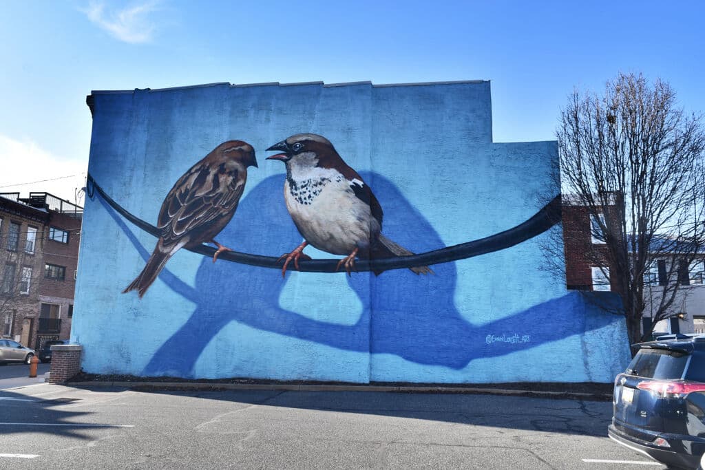 "Two Birds on Wire" by Evan Lovett in South Philadelphia, Philadelphia