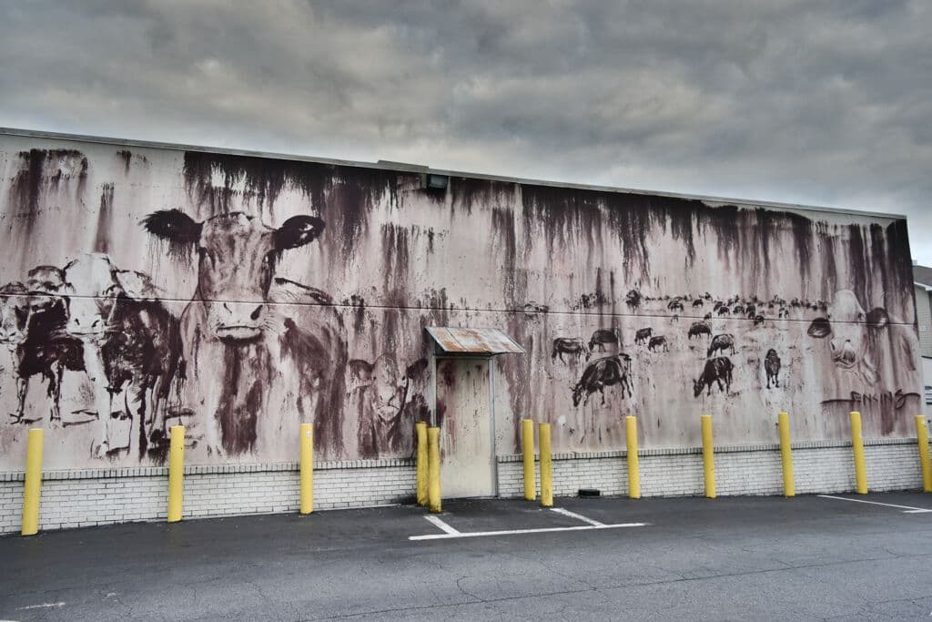 Grazing Cattle Mural