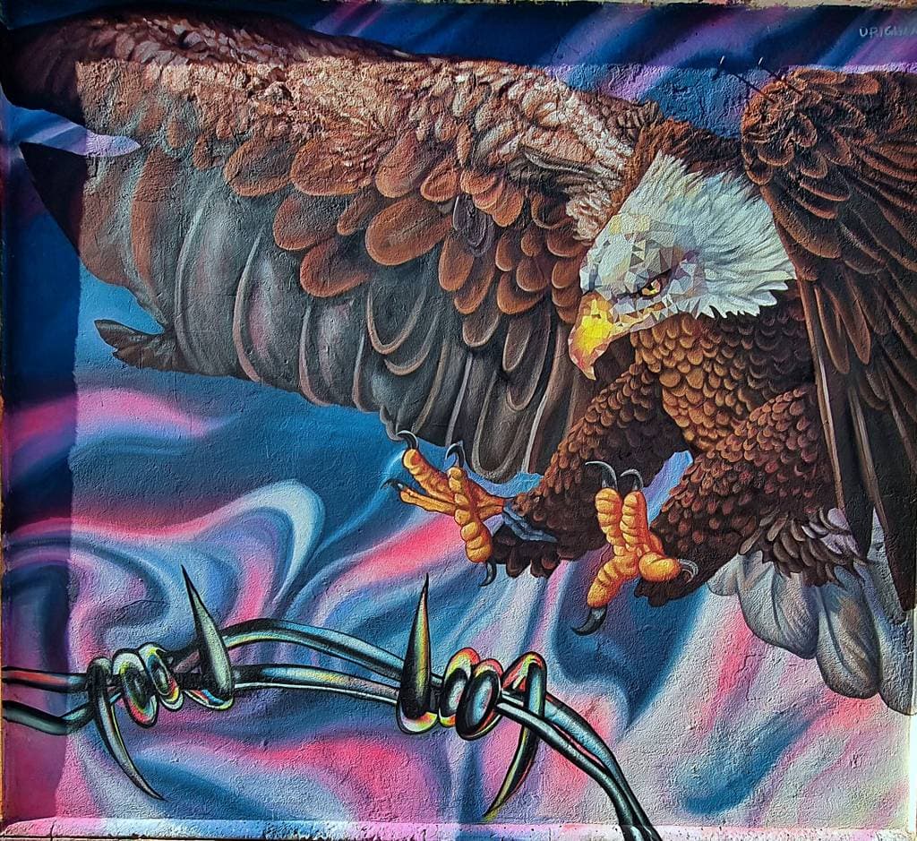 Eagle with Barbed Wire