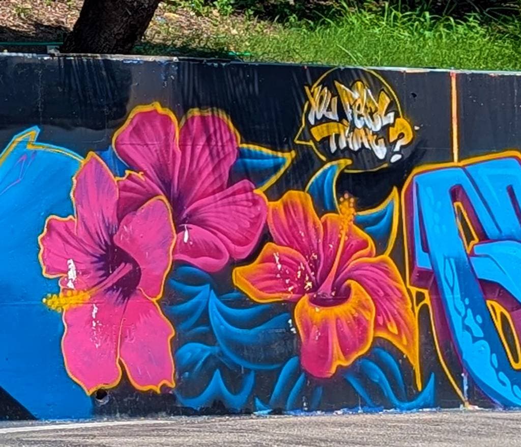 Vibrant Pink Flowers on Black