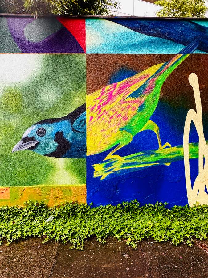 Art by Kelvin Koubik