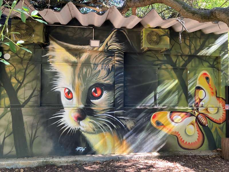 "Cat with Mystical Butterfly" in Benfica, Lisbon