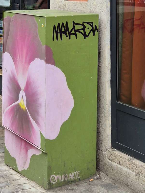 Pink Orchid on Green Canvas