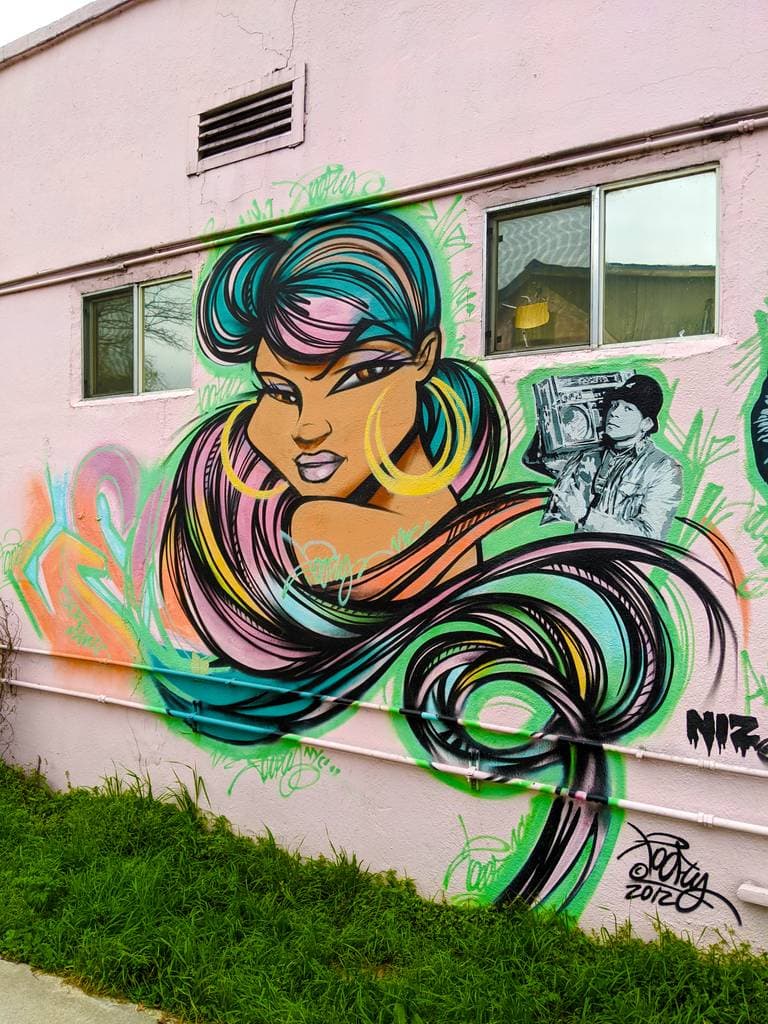 "Colorful Portrait of a Woman" by Toofly in Laprelle Place, Austin