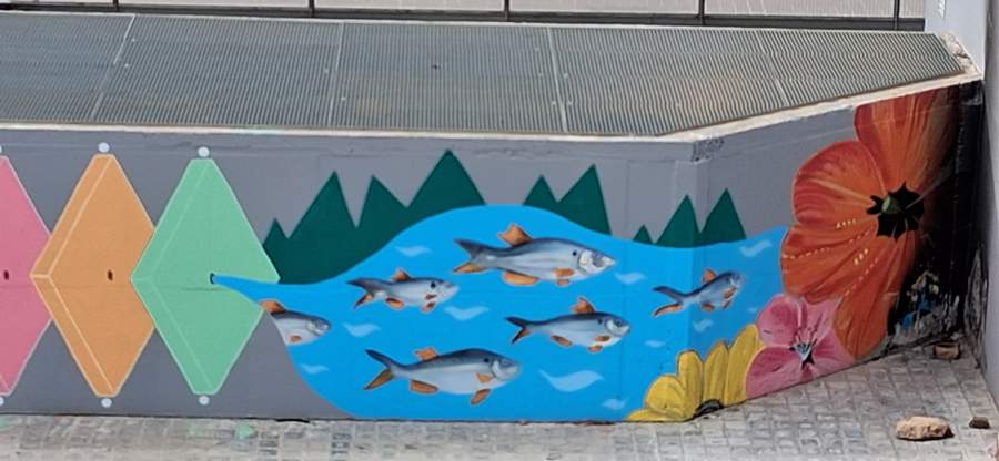 Fish School in Mountain Waters