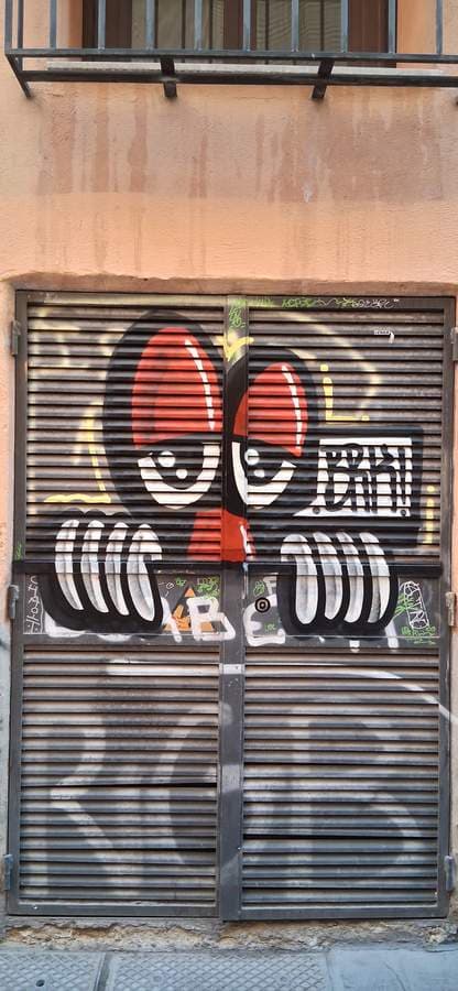 Stylized Face on Metal Shutters