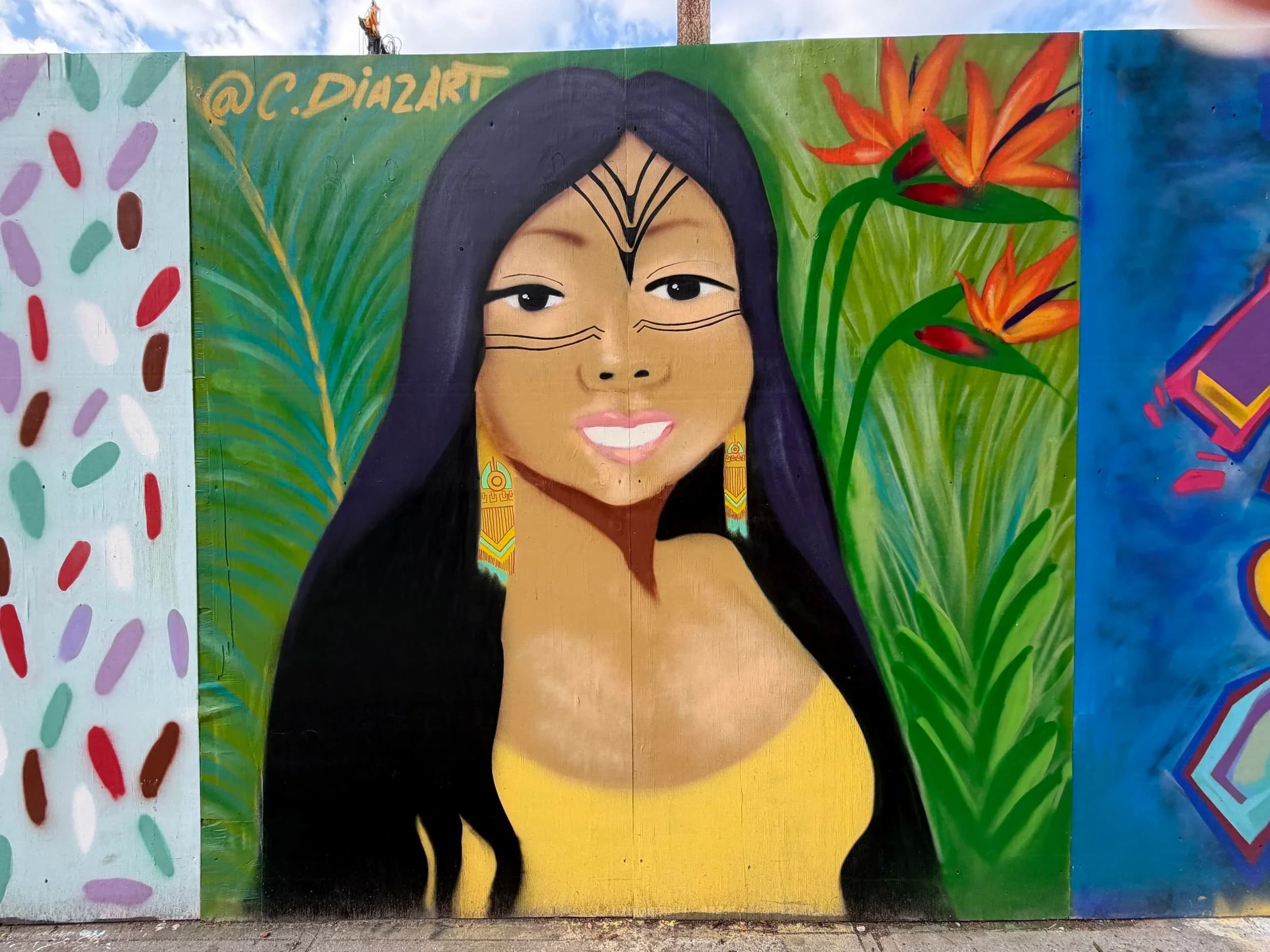 Art by Carolina Diaz