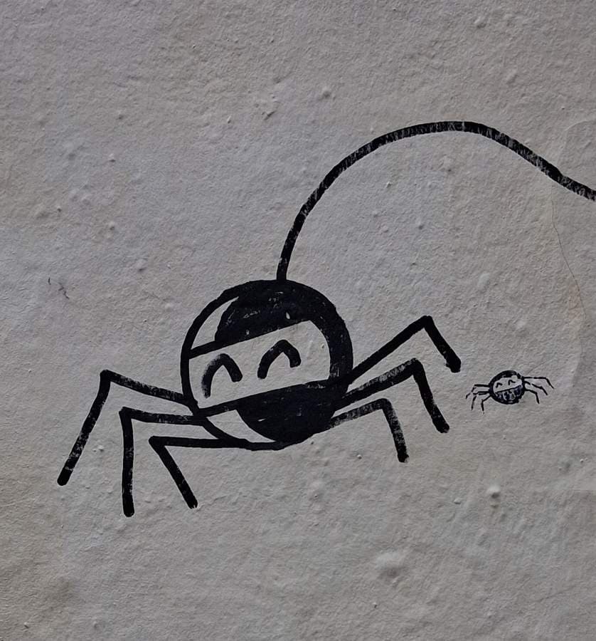 Spider