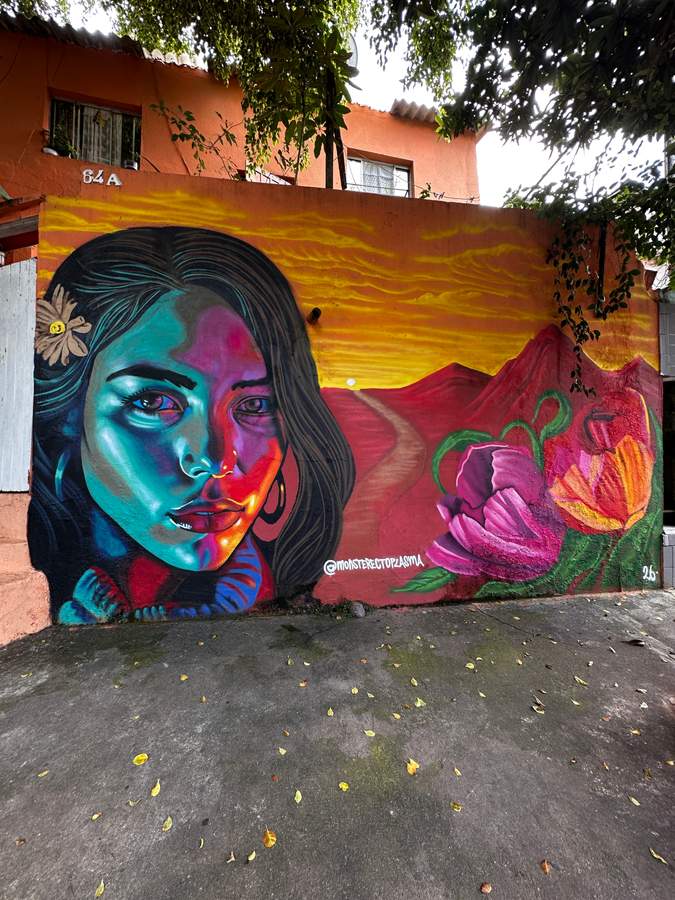 "Primeirão" by Monsterectoplasma in Caxingui, São Paulo