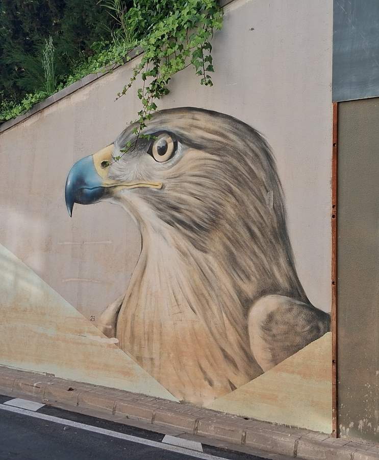 "Biodiverdidad en la Albufera (35 especies)" by dhos in Valencia