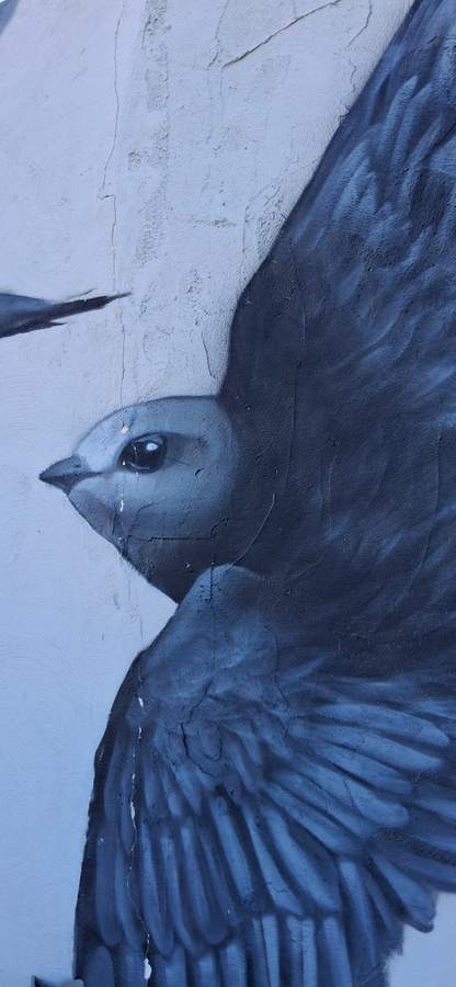 "Vencejos (Cromàpica 2024)" by dhos in Omet, Valencia