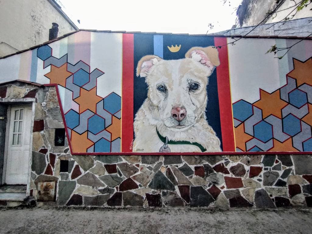 "Pancho el rey de Chacarita" by Maria Lorena Lecea in Chacarita, Buenosaires