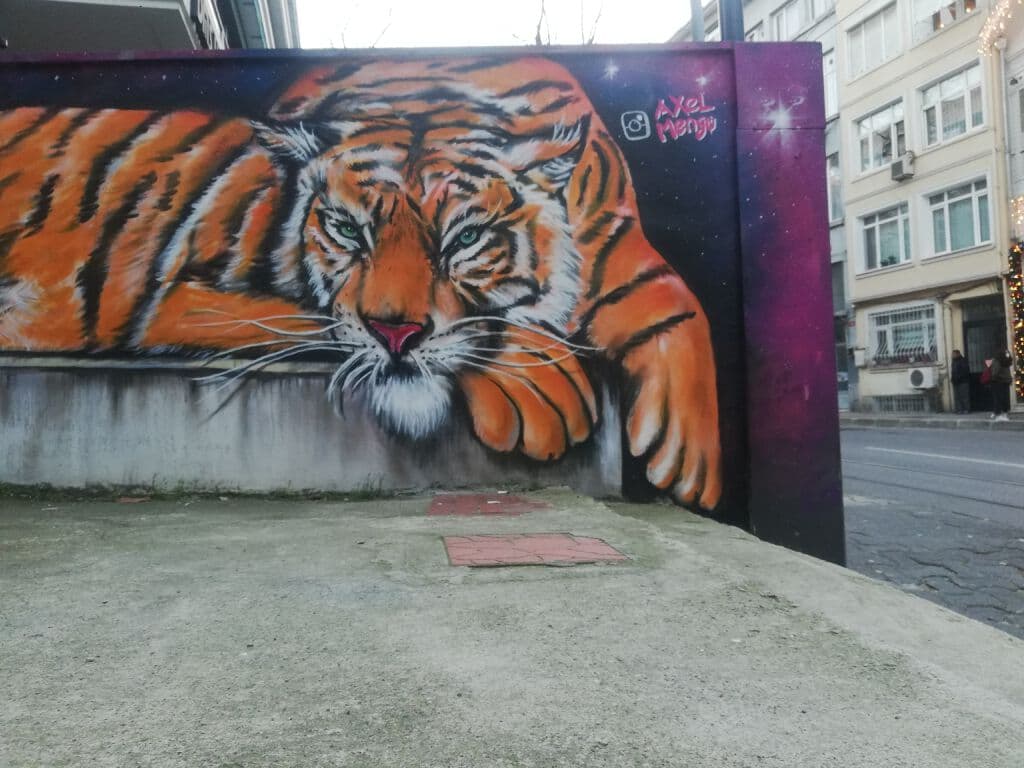"Tiger" by Axel Mengü in Caferaa Mahallesi, Istanbul