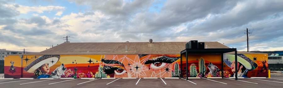 "La Shapeshifter" by Niz in St Elmo, Austin