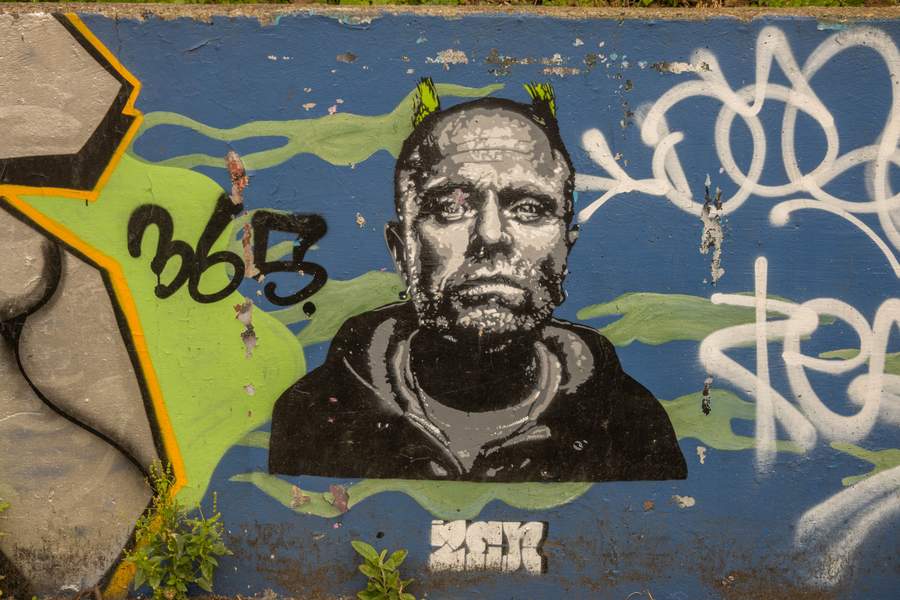 Bearded Man Portrait Street Art