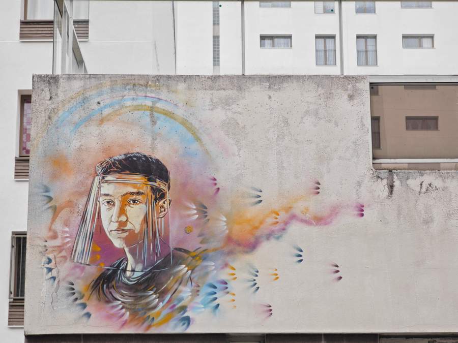 "Artwork by C215" by C215 in Paris 13e Arrondissement, Paris