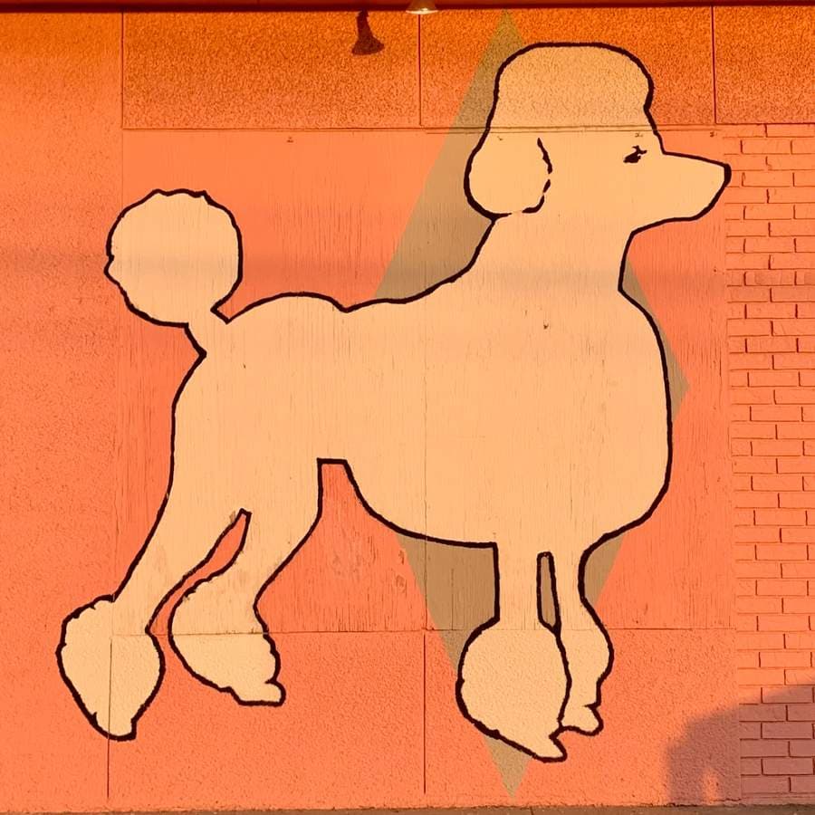 Street art photo