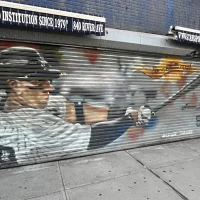 Baseball Player Metal Shutter Mural