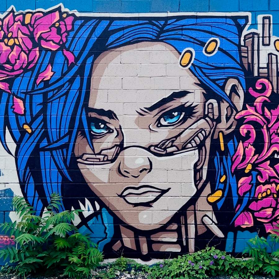 Untitled street art by Alex Kanos in Highland, Austin
