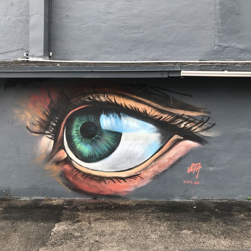 Untitled street art by Jota Villarreal in Miami