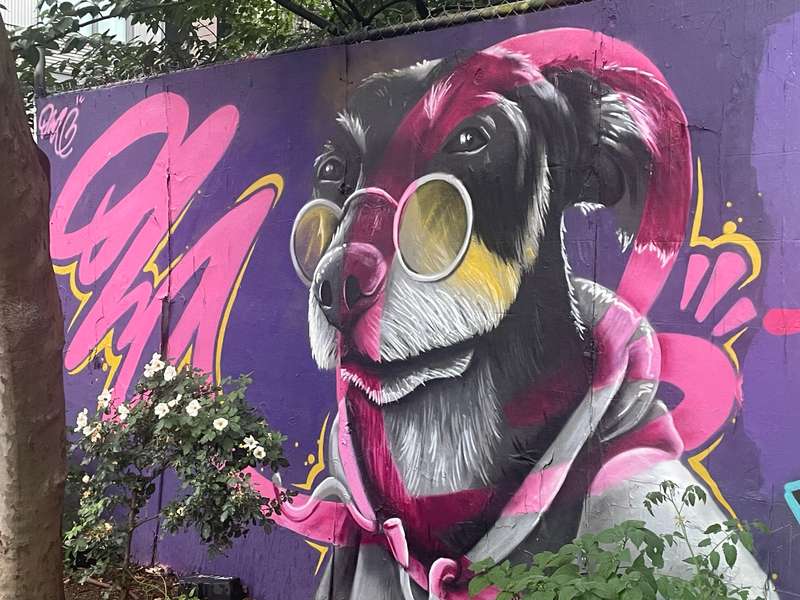 "dog with glasses" in Manhattan Community Board 3, New York