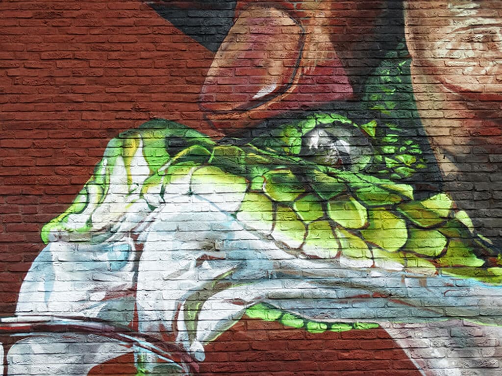 Street art in Houston