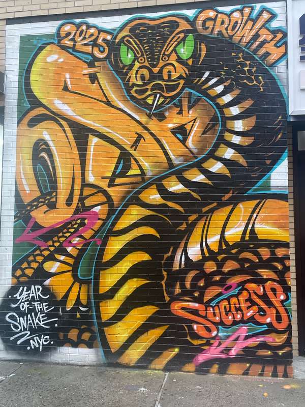 "Year of the snake. 2025 growth" in Little Italy, New York
