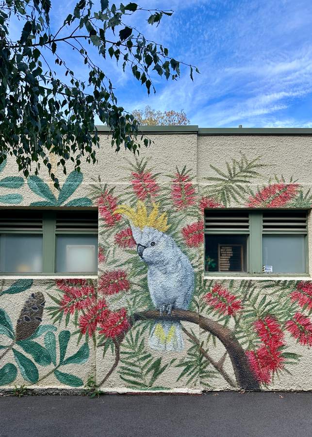 Art by Melbourne's Murals