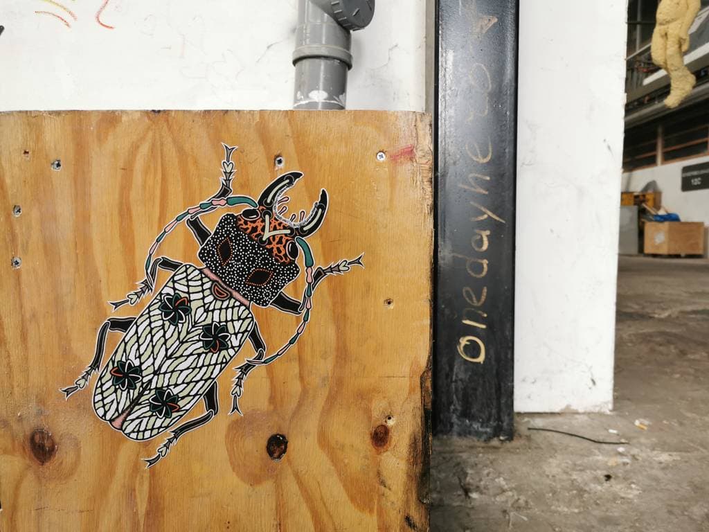 Ornate Beetle with Patterned Wings