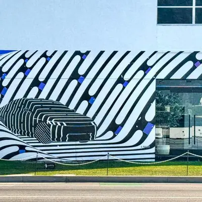 Warped Zebra Stripe Mural