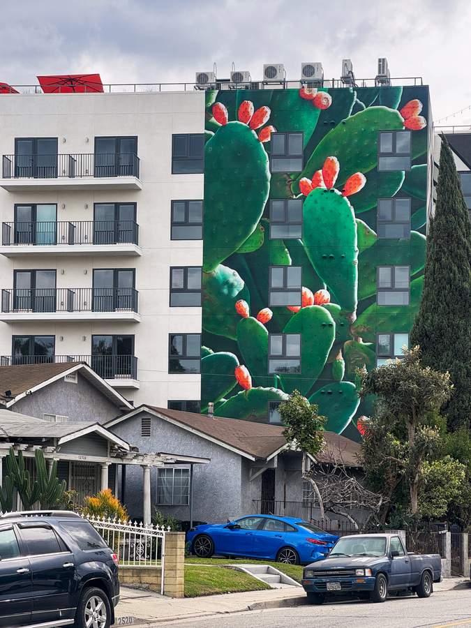 Flowering Cactus Building Mural