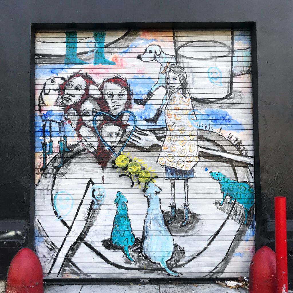 "Rainy Day Dogs" in Mission, San Francisco