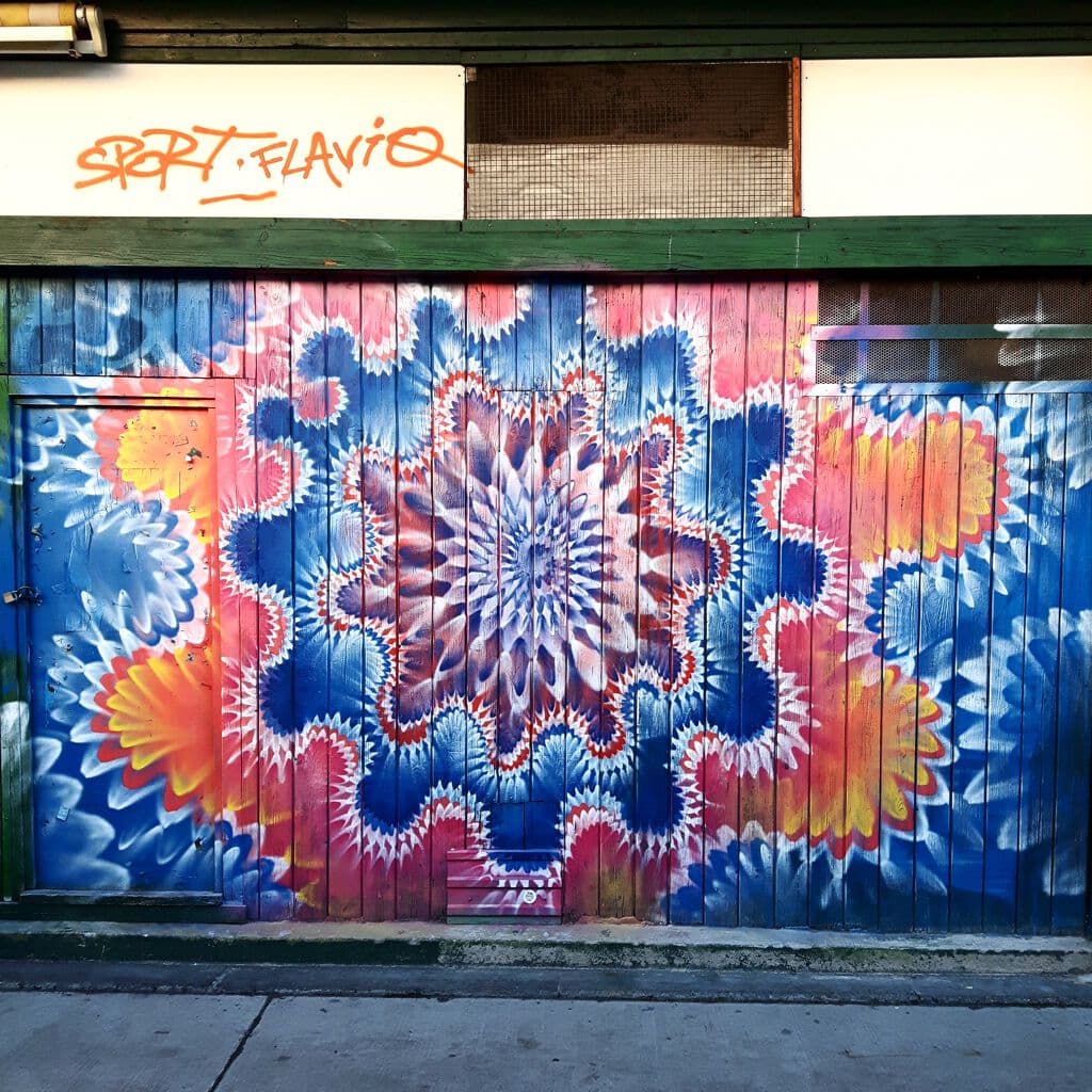 Psychedelic Mandala Flower Burst