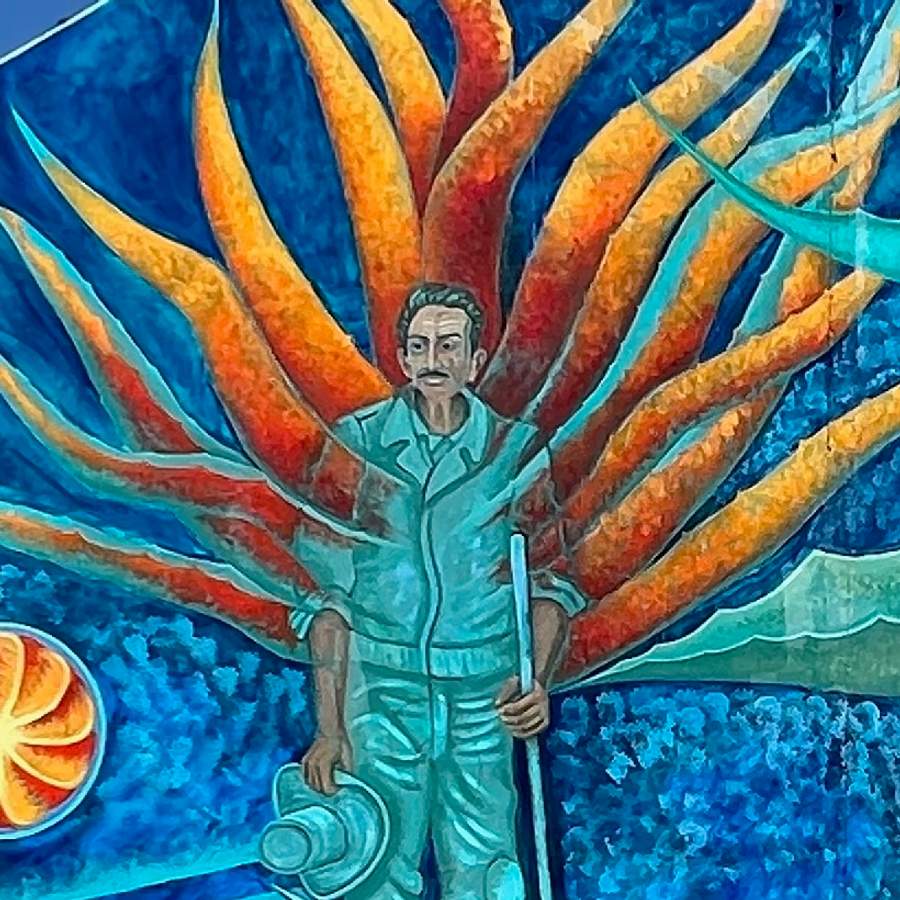 "Agave Americana" by Noel Marquez in Austin