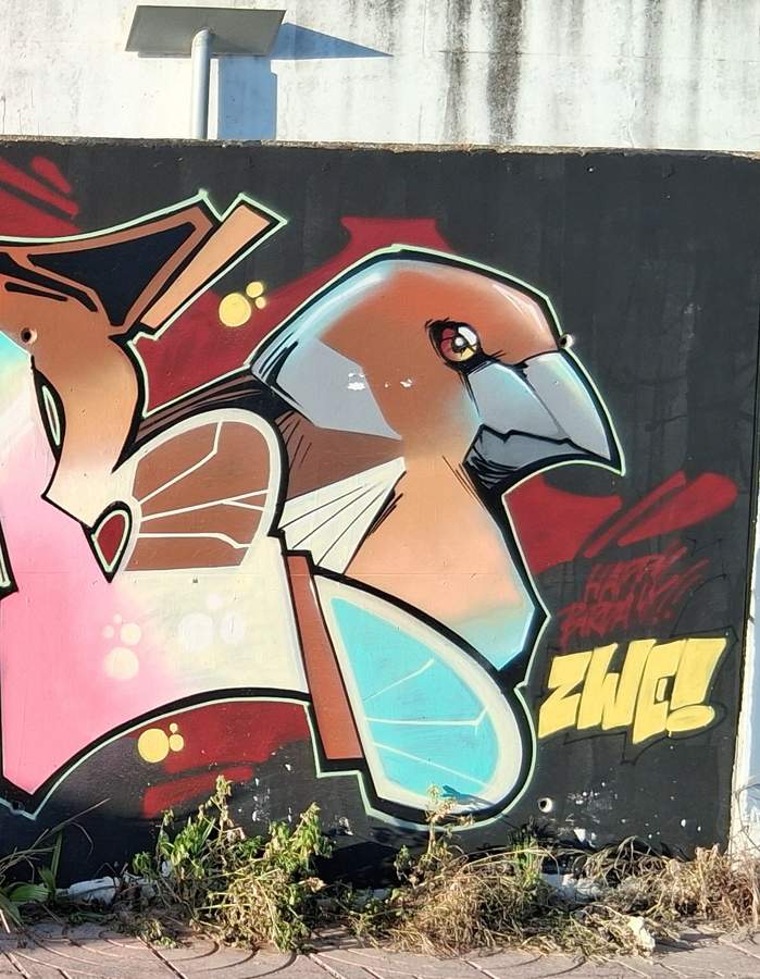 Street art in Valencia