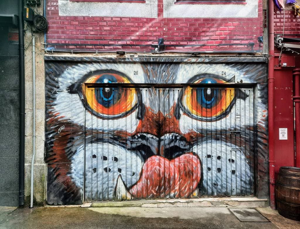 "Intense Feline Gate Mural" by Sandro Cassoti in Baixa Do Porto, Porto