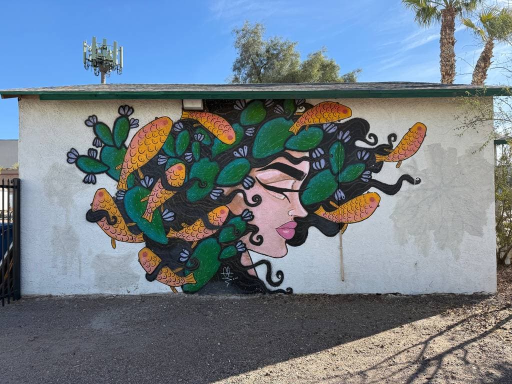 "Woman with Cactus Hair" in Alhambra, Phoenix