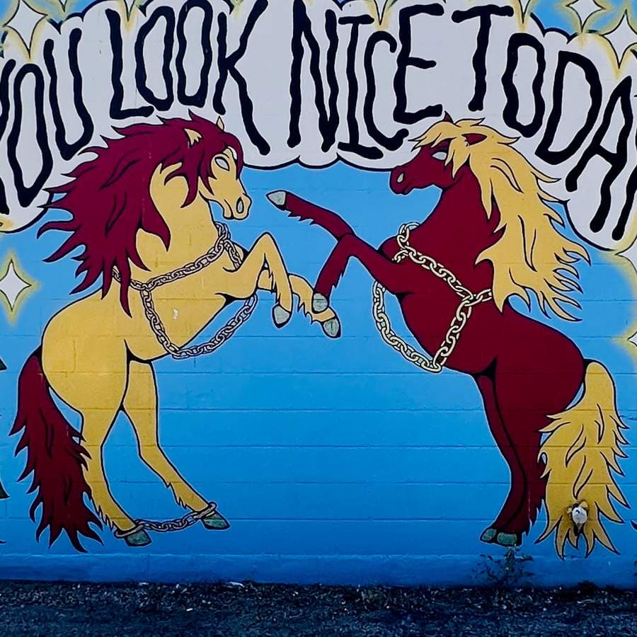 "You Look Nice Today" in South Lamar, Austin