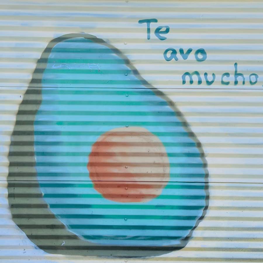 "Te avo mucho" in Austin