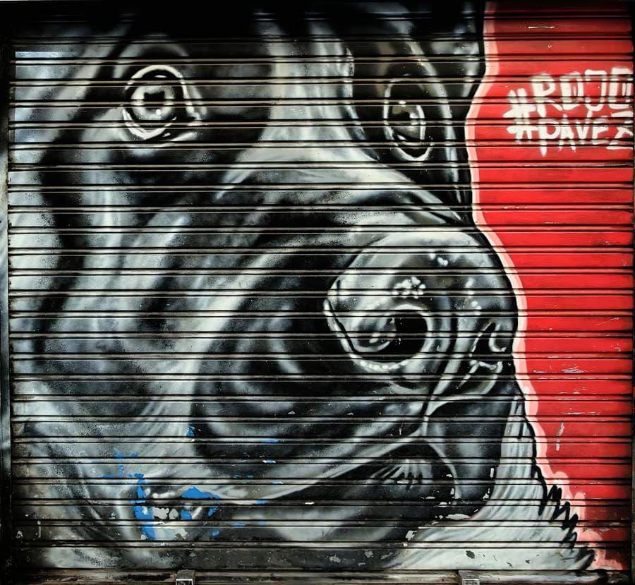 "Daktary Shutter" by Rojo Pavez in Sant Pere, Barcelona