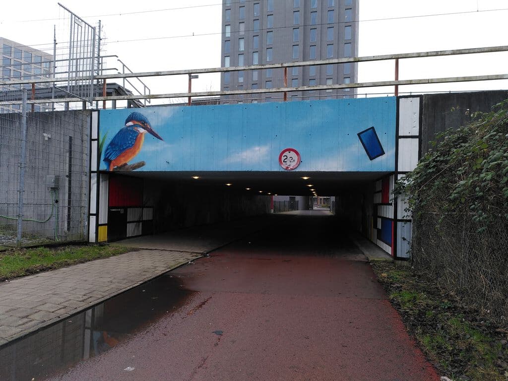 "Waterhoenpad" by Tim Rodermans in Campus Diemen Zuid, Amsterdam