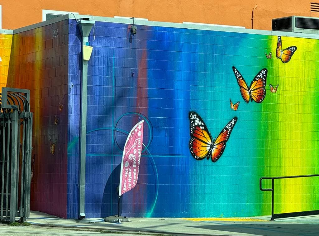 Untitled street art by Risk in Venice, Los Angeles
