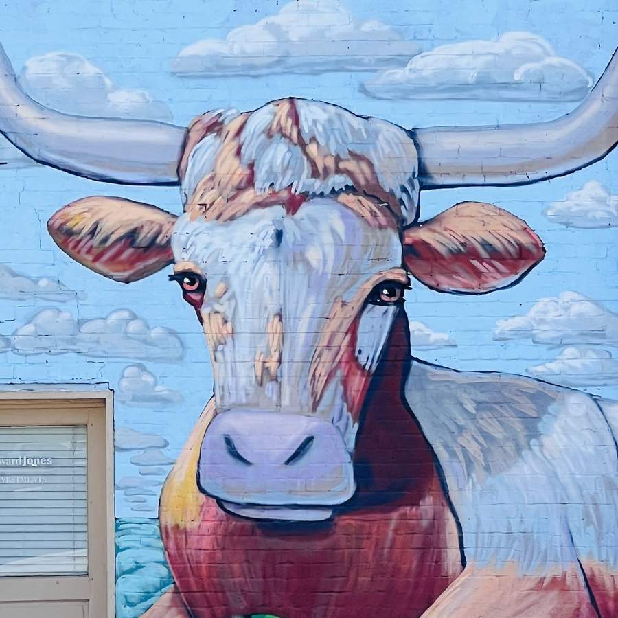 Untitled street art by Helena Martin in Austin