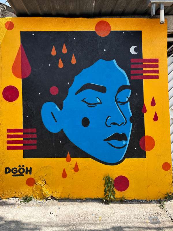 "Janela da Alma" by Diego Dgoh in Parque Monteiro Soares, São Paulo
