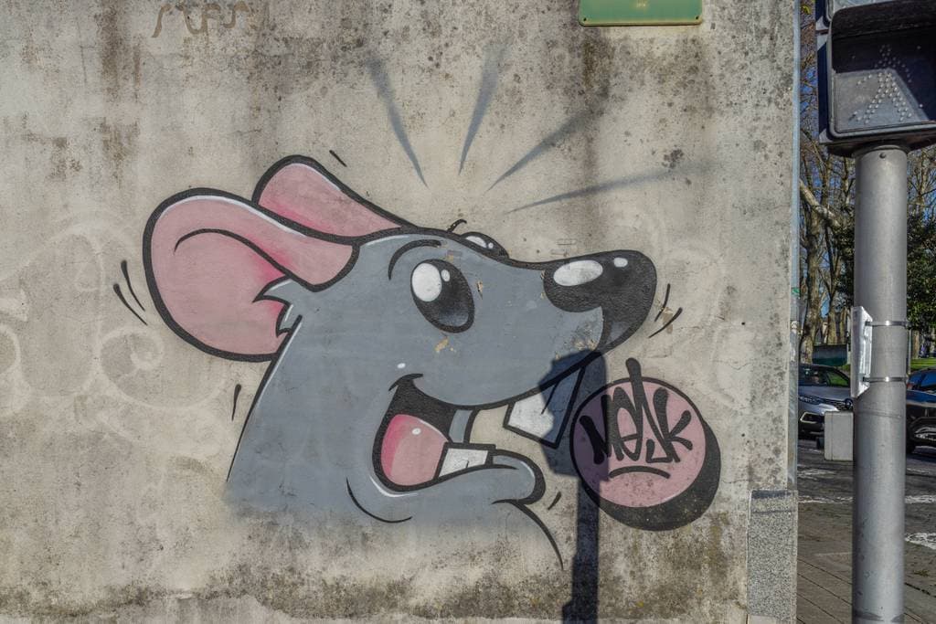 Untitled street art by Mesk in Corujeira, Porto