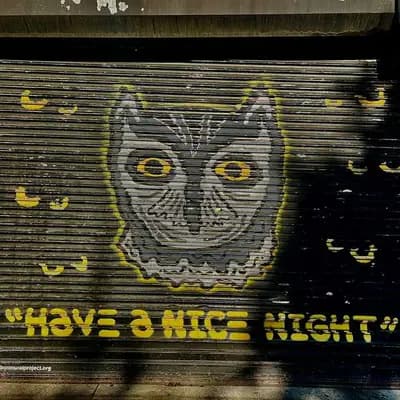 Whiskered Screetch-Owl