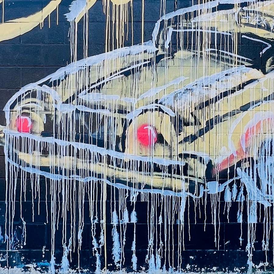 "CARBS" in Austin
