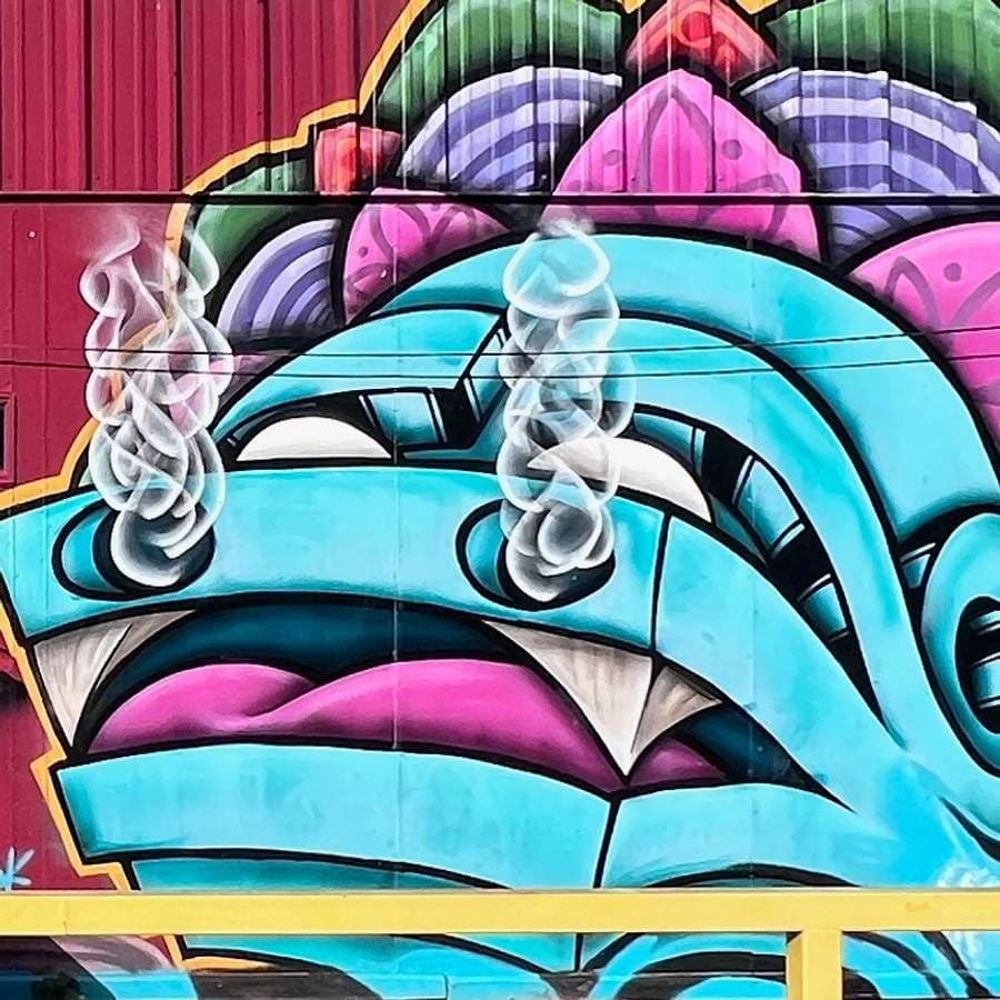 "Viva La Cultura" in Austin