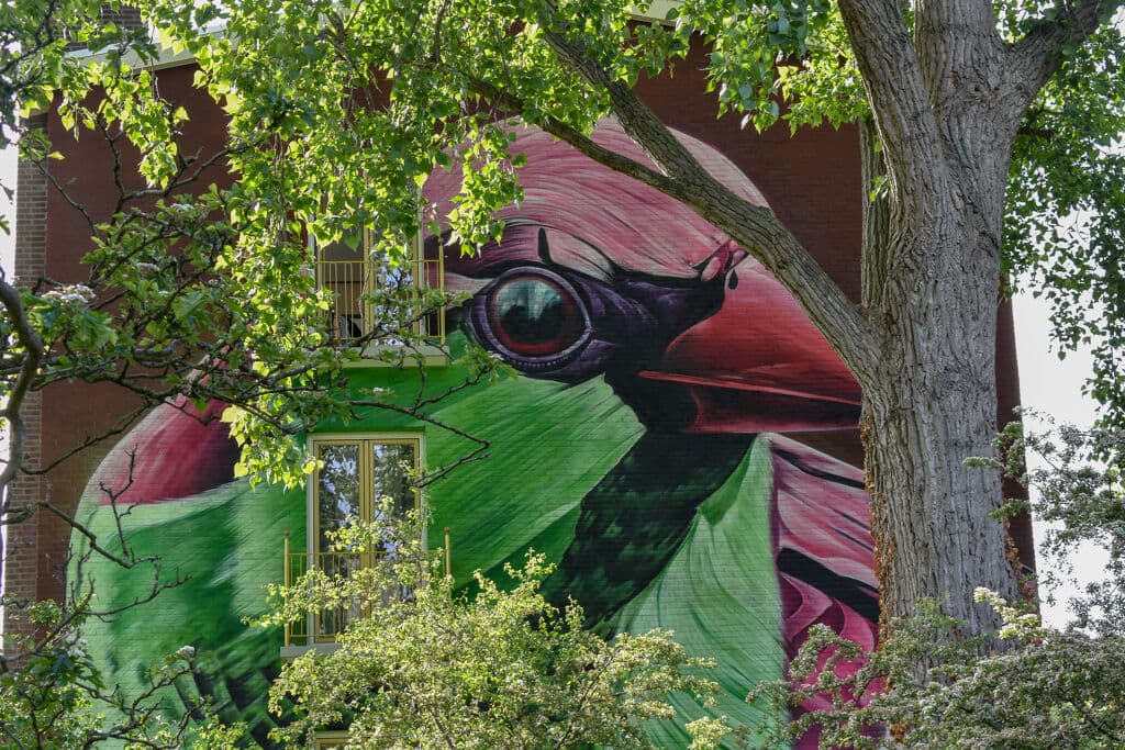 "Urban hybrid" by Dopie.dsk in Oost, Amsterdam