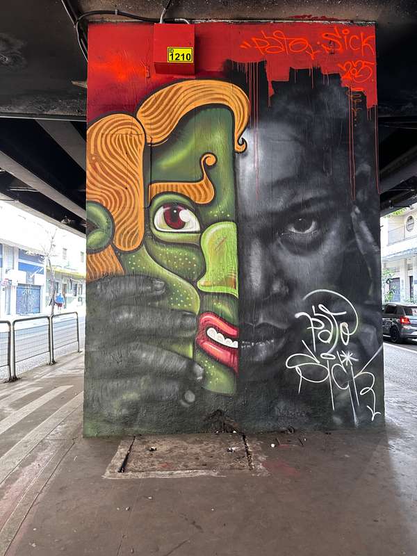 Untitled street art by Pato Patologico in Campos Elsios, São Paulo